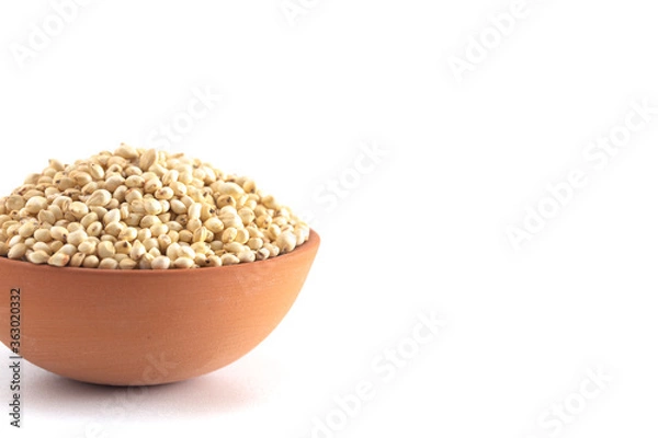 Obraz Bowl of Sprouted Sorghum Isolated on a White Background