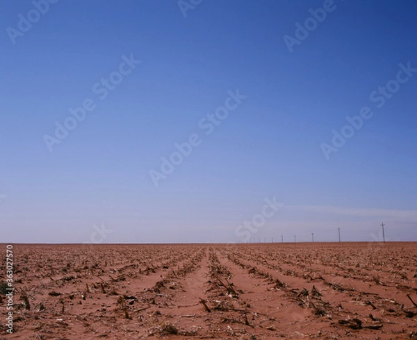 Obraz plowed field in spring