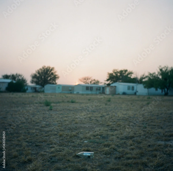 Obraz lonely evening