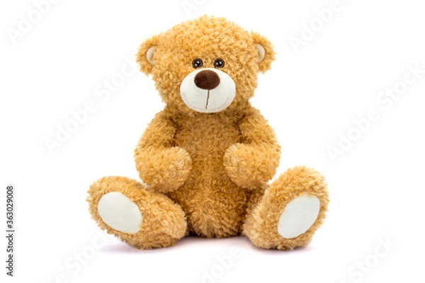 Obraz Teddy Bear