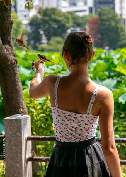 Obraz woman feeds birds