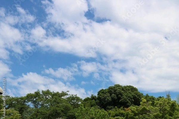 Fototapeta 緑　青空　爽やか　風景　