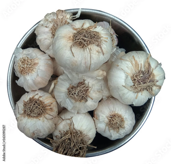 Obraz garlic on white background