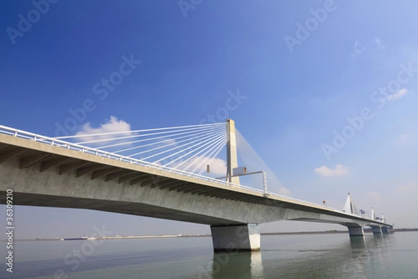 Fototapeta トゥインクル