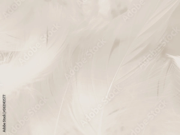 Fototapeta Beautiful abstract gray and white feathers on white background, soft brown feather texture on white pattern background, gray feather background