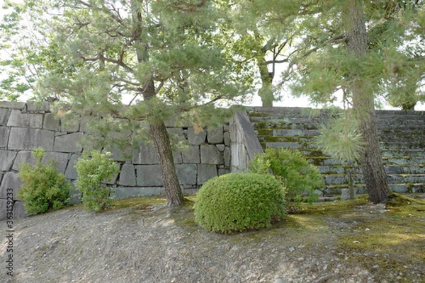 Fototapeta 日本庭園