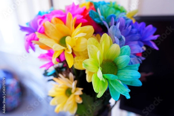 Obraz Rainbow Flowers 