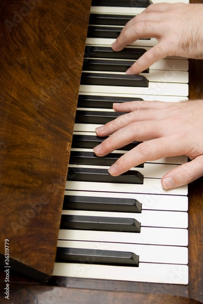 Obraz Playing the Piano