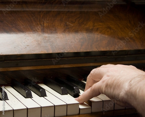 Obraz Playing the Piano