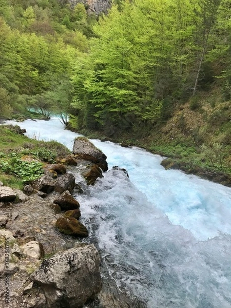 Obraz mountain river in the forest