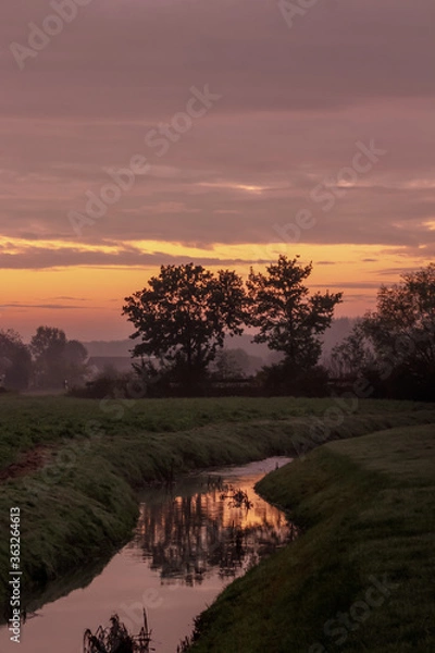 Fototapeta Rano na rozwidleniu