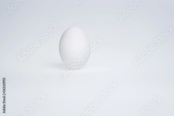 Fototapeta White egg on a white background
