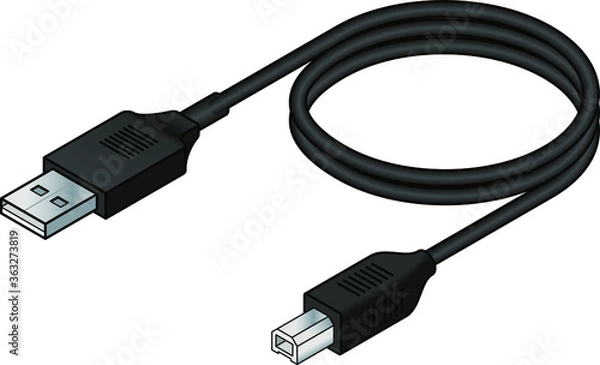 Fototapeta A USB (universal serial bus) cable. USB 2.0 type A to type B.