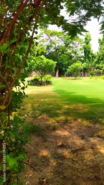 Fototapeta path in garden