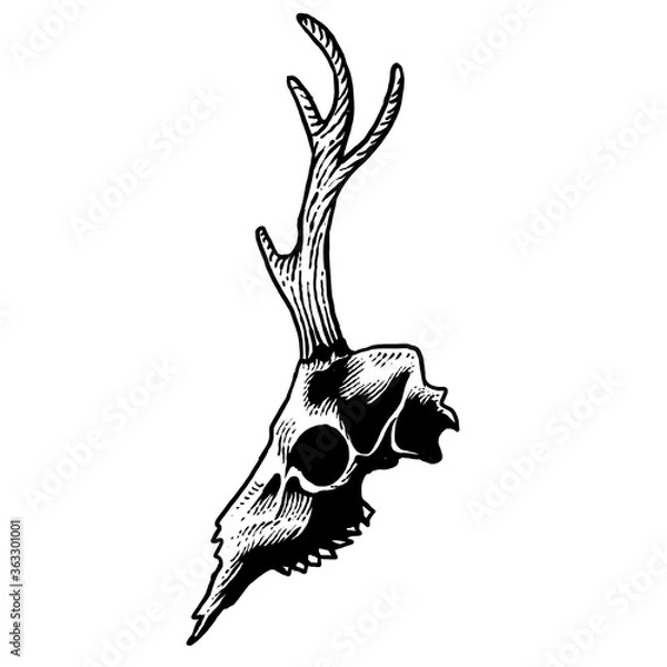 Obraz Deer Skull awesome illustration