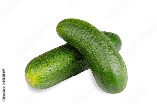 Obraz Two fresh cucumbers isolated on white background