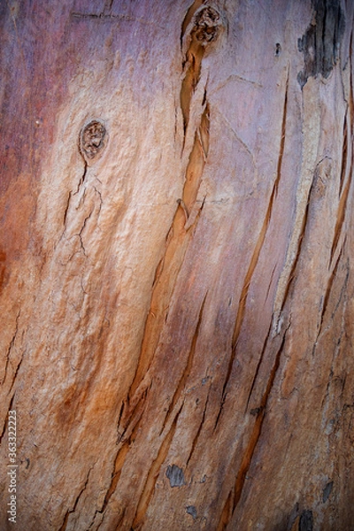 Obraz old wood texture