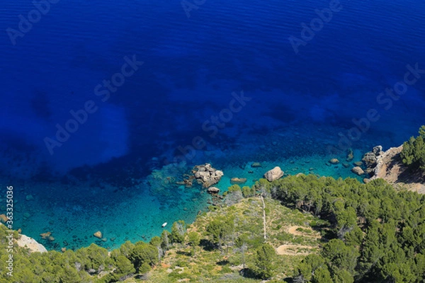 Obraz coral reef in the sea