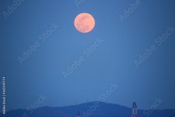 Fototapeta 満月