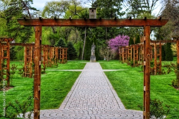 Obraz garden in the park