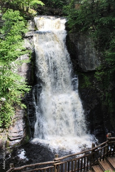 Obraz waterfall in the forest