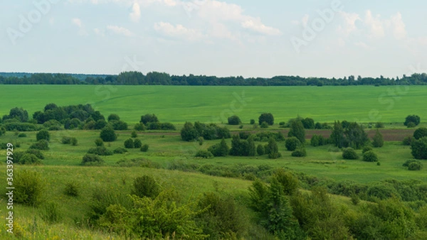 Fototapeta fields in the summer in the Russian hinterland