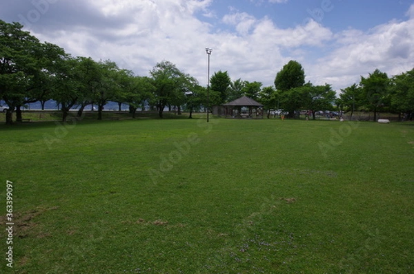 Fototapeta 緑の公園 K3BP6250