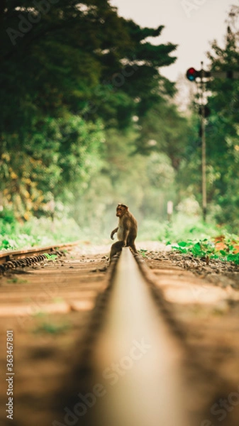 Fototapeta The Wait!