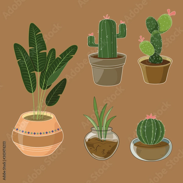 Obraz Potted Plant #1