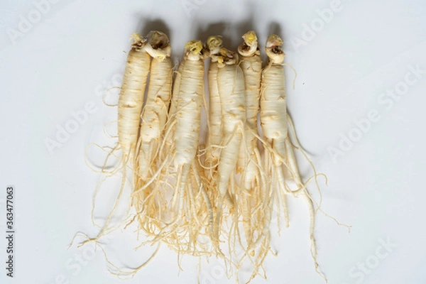 Obraz 한국의 건강 약재 인삼 뿌리