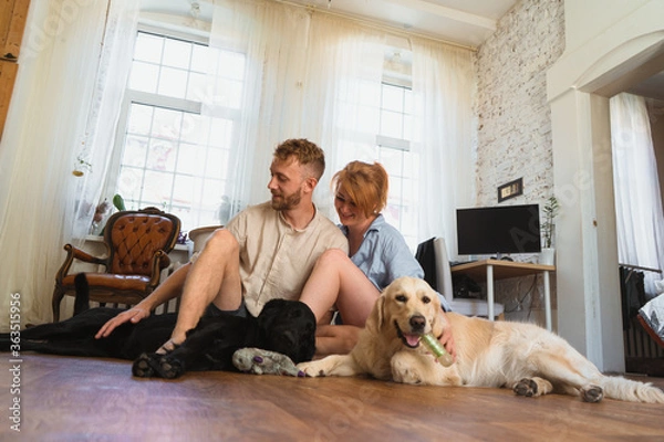 Fototapeta young couple with dogs sitting on the floor of their flat and having fun. dogs playing with their toys. man and woman hug each other and spend leisure  time with their dogs