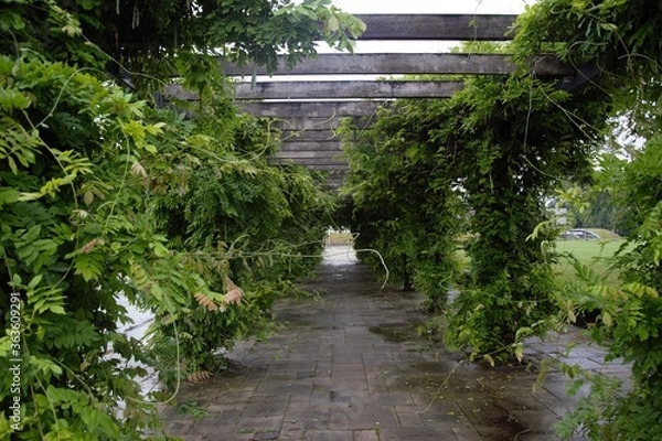 Obraz Green plants hall