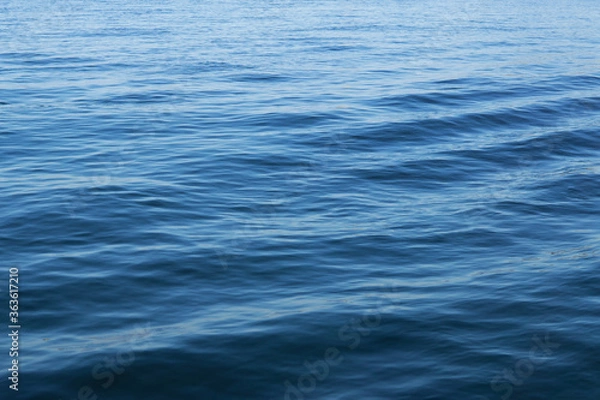 Fototapeta sea water with sun reflections