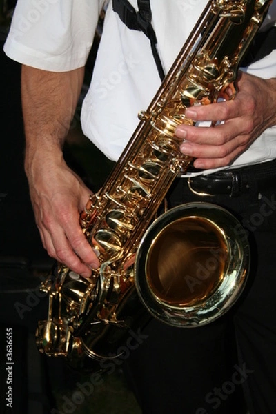 Obraz saxophoniste
