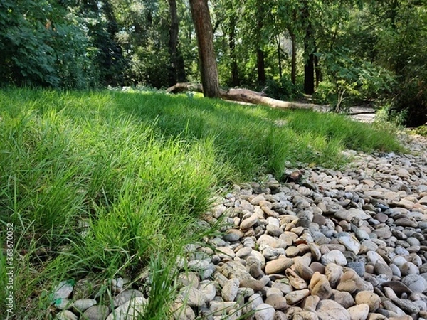 Obraz path in the forest