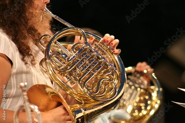 Obraz cor d'harmonie