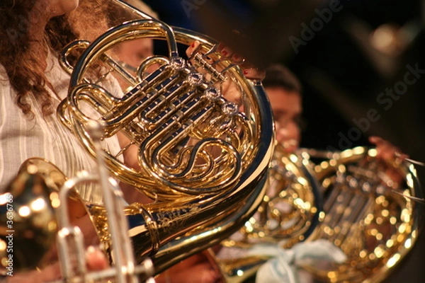 Obraz Cor d'harmonie