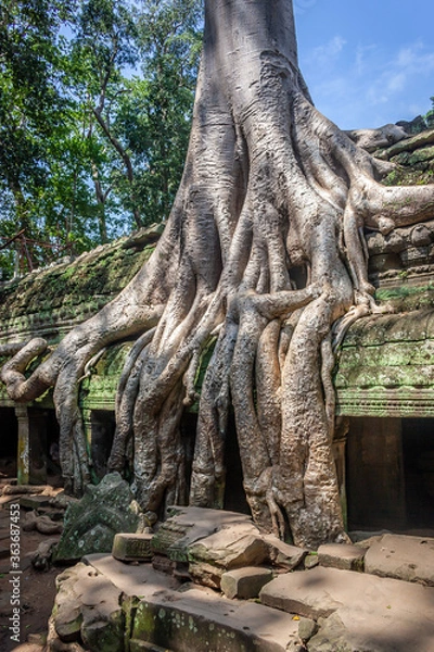 Obraz ta prohm temple cambodia