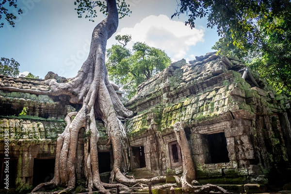 Obraz ta prohm temple cambodia