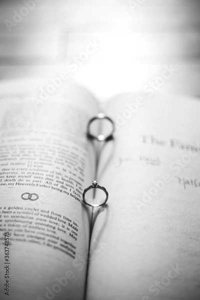 Obraz Heart shadows bw