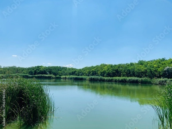 Fototapeta lake in the park