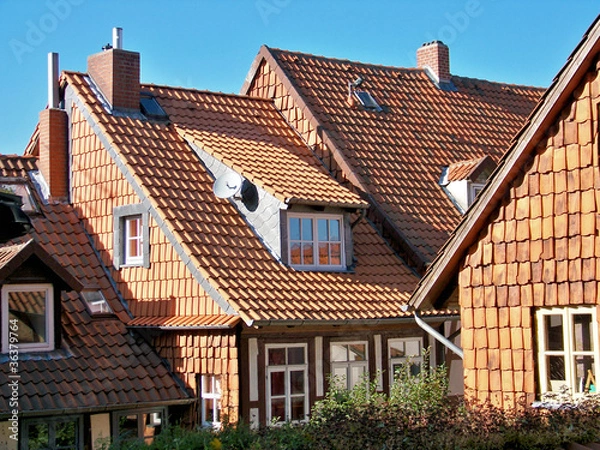 Fototapeta Dachlandschaft