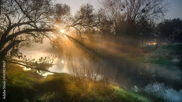 Obraz Poranek nad rzeką 