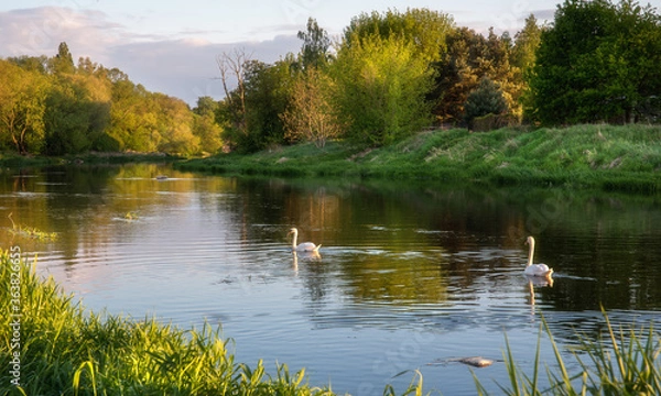 Obraz Nad rzeką