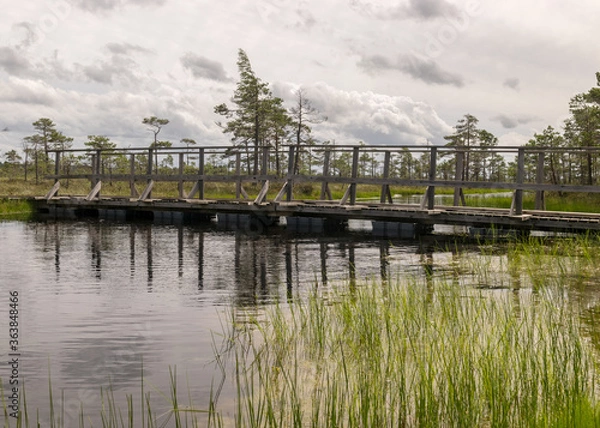Fototapeta a wooden construction walking bridge in the middle of the swamp. View of the beautiful nature in the swamp - a pond, conifers, moss, clouds and reflections in the water., Nigula Nature Reserve