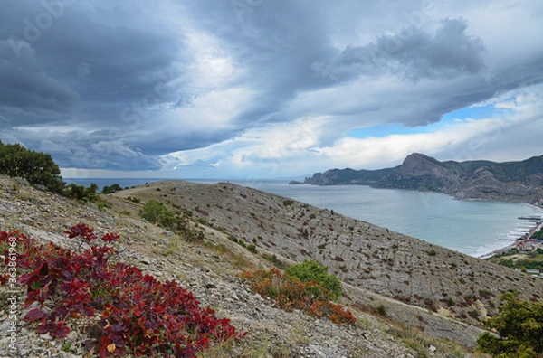 Fototapeta Landscape on the slope of Mount Alchak on the Black Sea coast in September, eastern Crimea, the city of Sudak. A dark red shrub on rocky ground. Rain clouds in the sky.