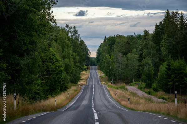 Fototapeta straight road in forest 
