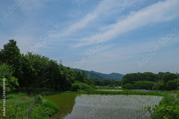 Obraz 山の田んぼ