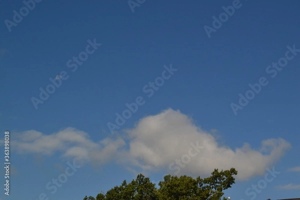 Obraz Goose Creek Moon