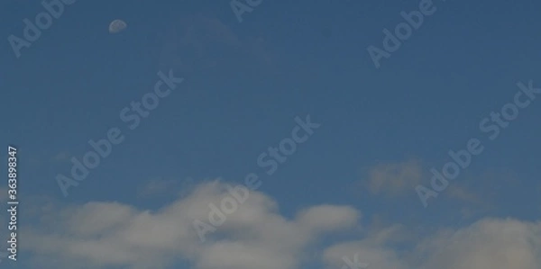 Obraz Goose Creek Moon